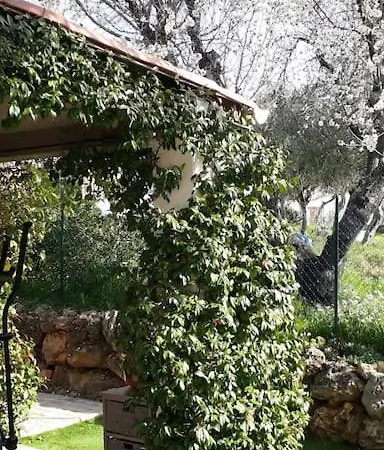 Maison 2 Ou 4 Personnes Jardin Parking Les Amandiers Lorgues Exterior photo