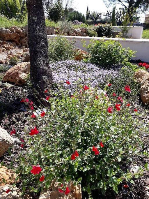 Holiday home Maison 2 Ou 4 Personnes Jardin Parking Les Amandiers *