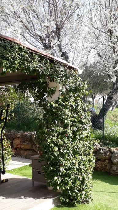 Maison 2 Ou 4 Personnes Jardin Parking Les Amandiers Holiday home *